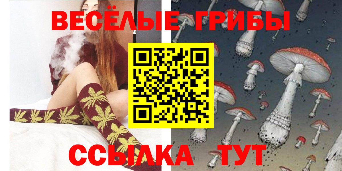 Псилоцибиновые грибы GOLDEN TEACHER Славгород