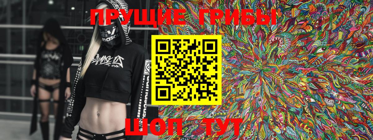 Галлюциногенные грибы Psilocybe  Псилоцибиновые грибы ЛСД  Вход с VPN  Славгород 
